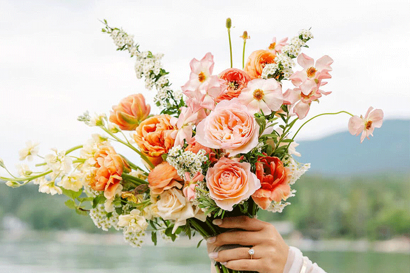 Flower Picture